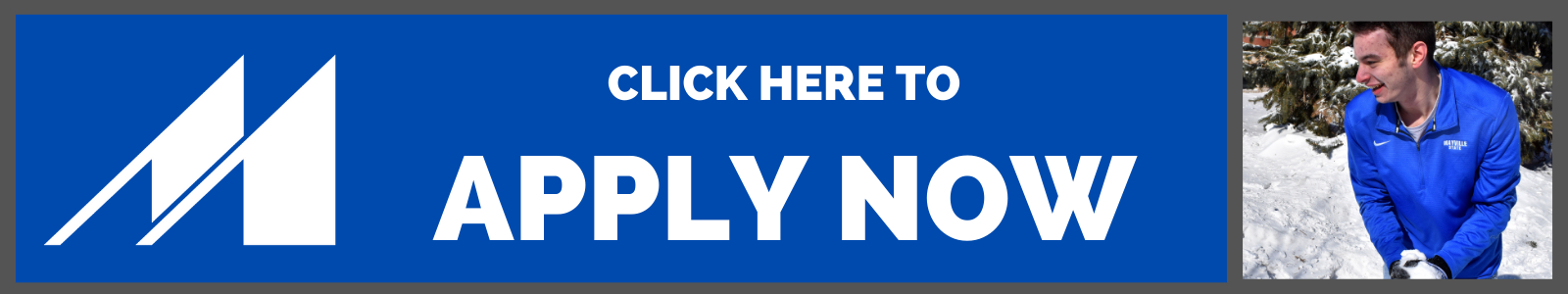 Blizzard of Opportunities apply now button.png