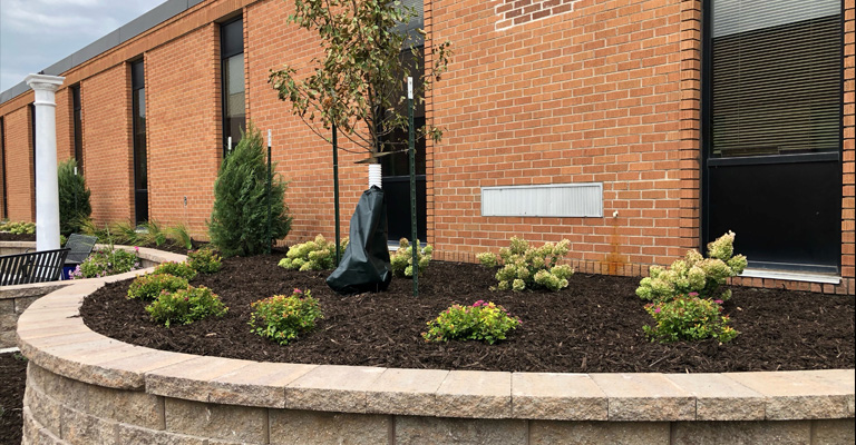 Legacy Plaza east.jpg