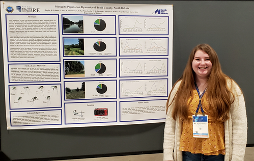 Painter Presentation.png