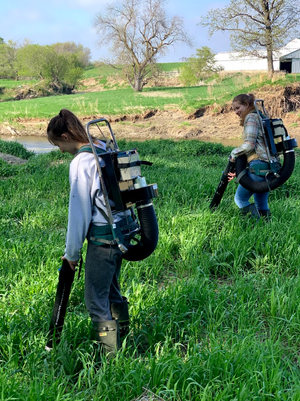 Pyle and Painter.png