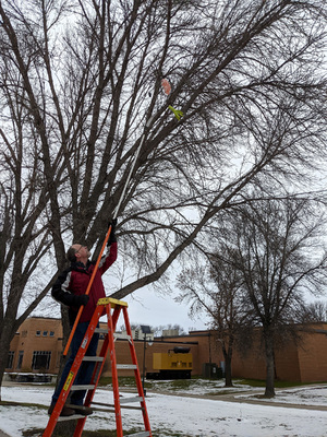 Lost rocket - web.jpg