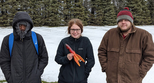 Hilton Lovro Roller - web.jpg